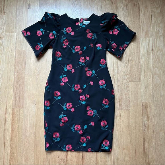 Calvin Klein Dresses & Skirts - Calvin Klein Black Dress with Red Rose Embroidery - Size 10